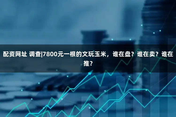 配资网址 调查|7800元一根的文玩玉米，谁在盘？谁在卖？谁在推？