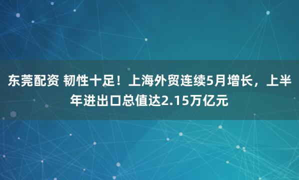东莞配资 韧性十足！上海外贸连续5月增长，上半年进出口总值达2.15万亿元